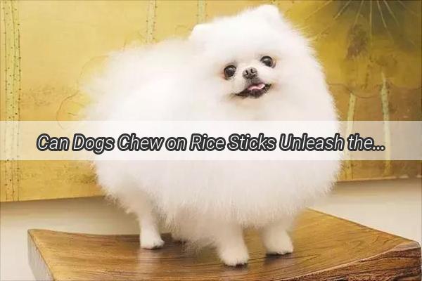 Can Dogs Chew on Rice Sticks Unleash the Truth Behind This Trendy Treat